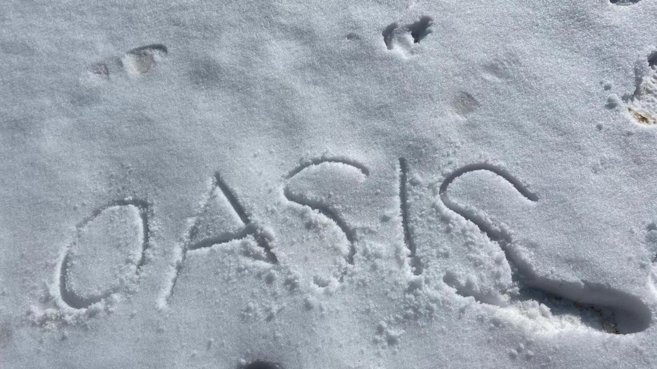 Oasis Guest House Bhagsu D'Shala Dharamszala Kültér fotó
