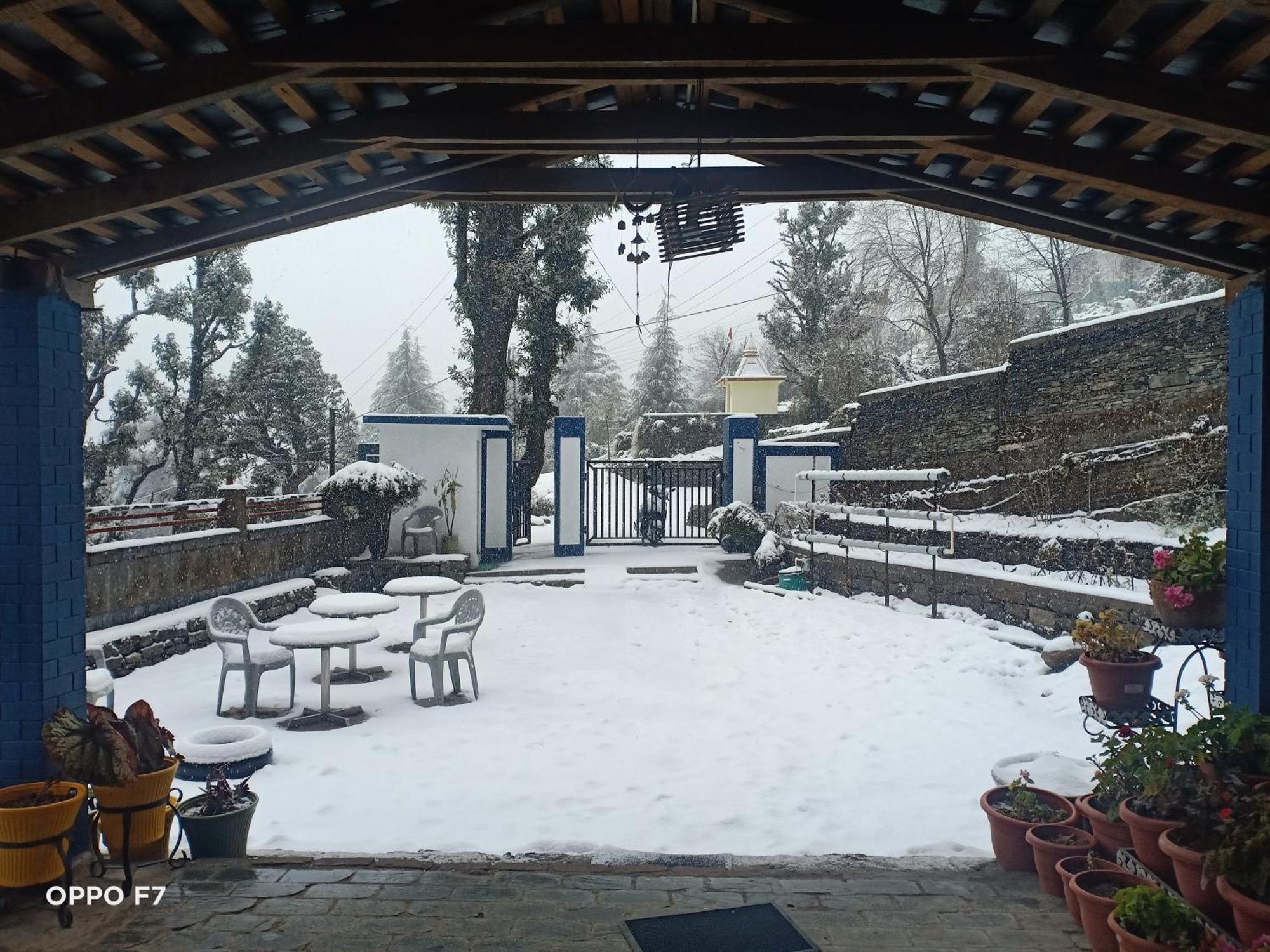 Oasis Guest House Bhagsu D'Shala Dharamszala Kültér fotó